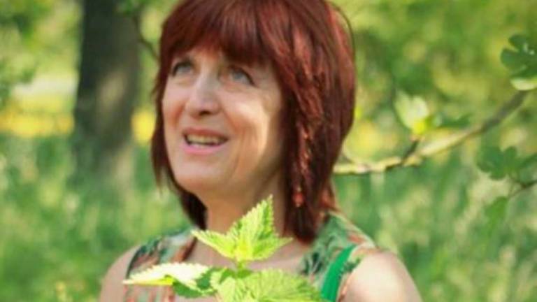 L'alfabeto naturale delle erbe aromatiche L'alfabeto naturale delle erbe aromatiche