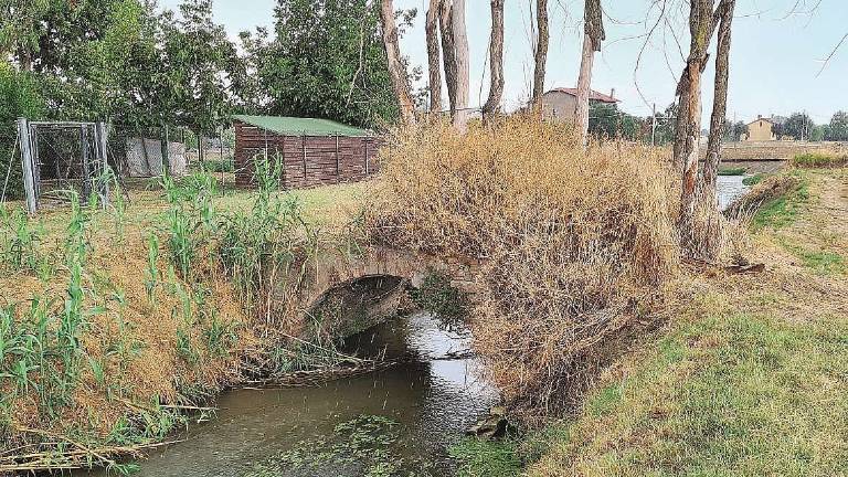Cesena, ponticello ottocentesco da distruggere: Salviamolo Cesena, ponticello ottocentesco da distruggere: Salviamolo