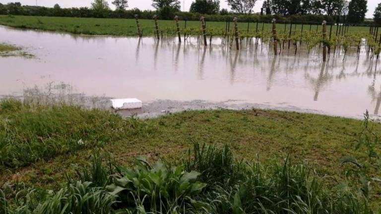Agricoltura in ginocchio: La Romagna sia dichiarata zona svantaggiata Agricoltura in ginocchio: La Romagna sia dichiarata zona svantaggiata