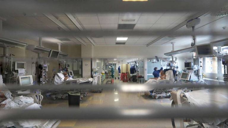 Coronavirus, 746 nuovi casi; crescono i ricoveri nei reparti ordinari Covid (+18) Coronavirus, 746 nuovi casi; crescono i ricoveri nei reparti ordinari Covid (+18)