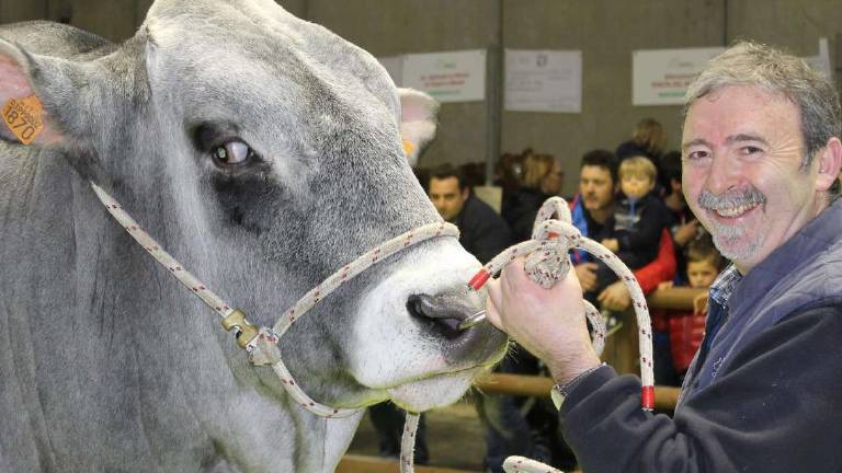 Casola Valsenio, muore cadendo da una rupe: ritrovato dalla sorella Casola Valsenio, muore cadendo da una rupe: ritrovato dalla sorella
