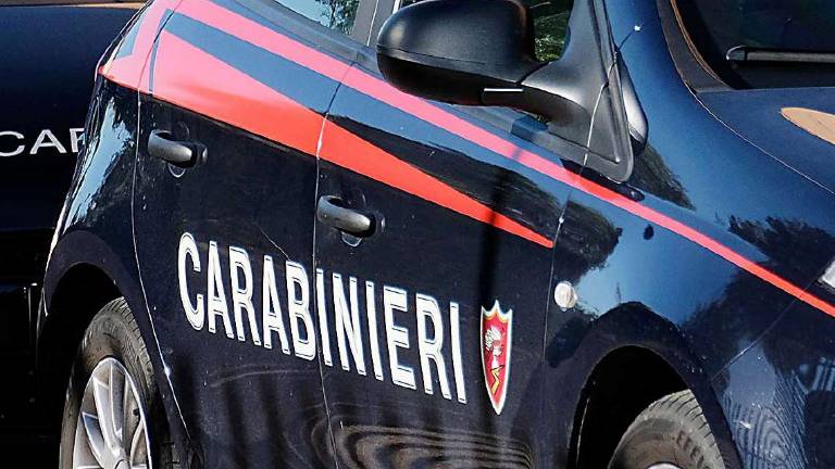 Rimini. Controlli ai nomadi, i carabinieri trovano un'auto rubata Rimini. Controlli ai nomadi, i carabinieri trovano un'auto rubata