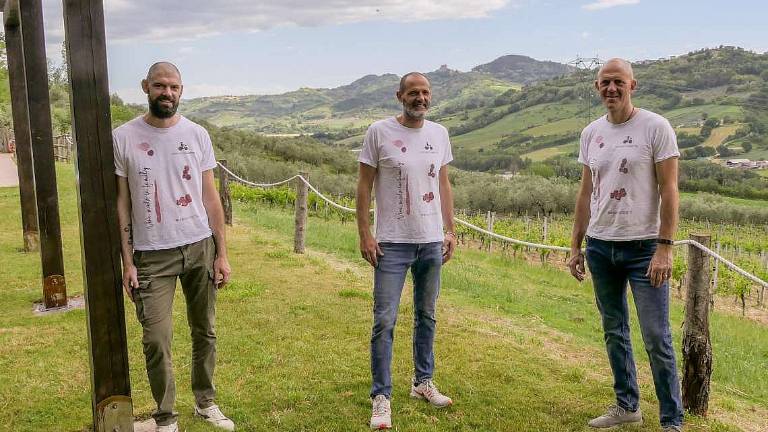 La nuova Rebola “made in family” della Cantina Fiammetta La nuova Rebola “made in family” della Cantina Fiammetta