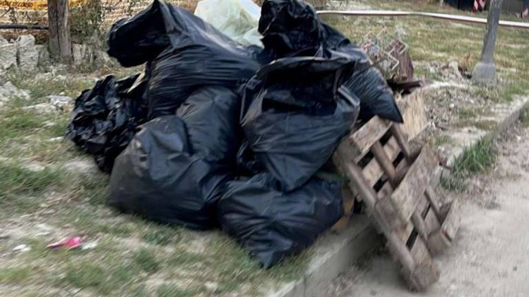 Forlì, ancora emergenza rifiuti ai Romiti. La situazione sta peggiorando Forlì, ancora emergenza rifiuti ai Romiti. La situazione sta peggiorando