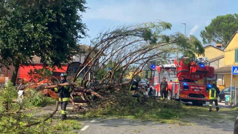 Ravenna, tornado di luglio: dopo due mesi ancora niente fondi Ravenna, tornado di luglio: dopo due mesi ancora niente fondi