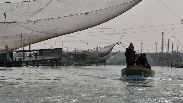 La Ausl dispone temporaneo divieto di pesca di vongole in Baiona La Ausl dispone temporaneo divieto di pesca di vongole in Baiona