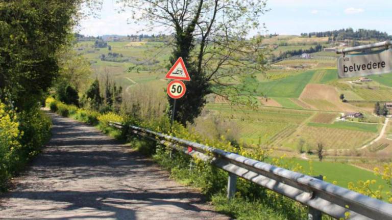 Longiano, cane aggredisce e ferisce podista di 51 anni Longiano, cane aggredisce e ferisce podista di 51 anni