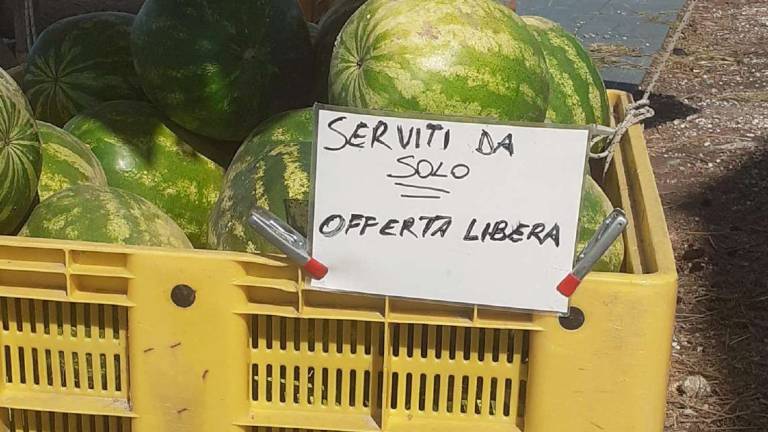 Alfonsine, il tornado gli distrugge l'azienda, raccolto a offerta libera: Era il primo dell'anno, un disastro Alfonsine, il tornado gli distrugge l'azienda, raccolto a offerta libera: Era il primo dell'anno, un disastro