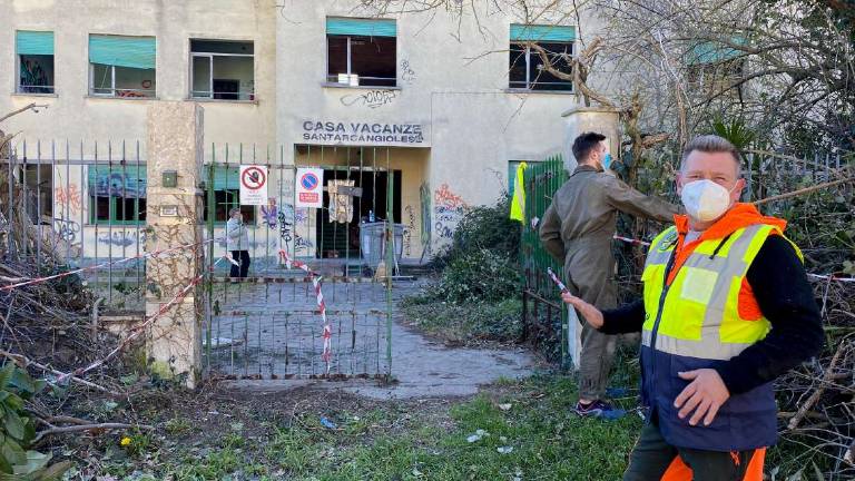 Cani addestrati per i terremoti in colonia diroccata di Cesenatico Cani addestrati per i terremoti in colonia diroccata di Cesenatico