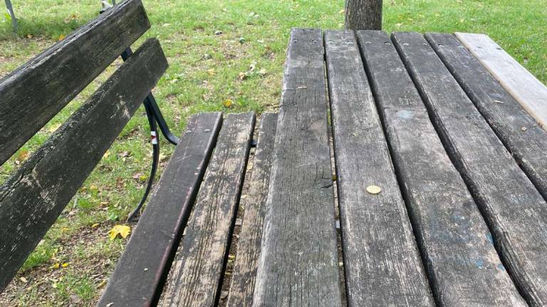 Cesena: appello per la manutenzione dei parchi Cesena: appello per la manutenzione dei parchi