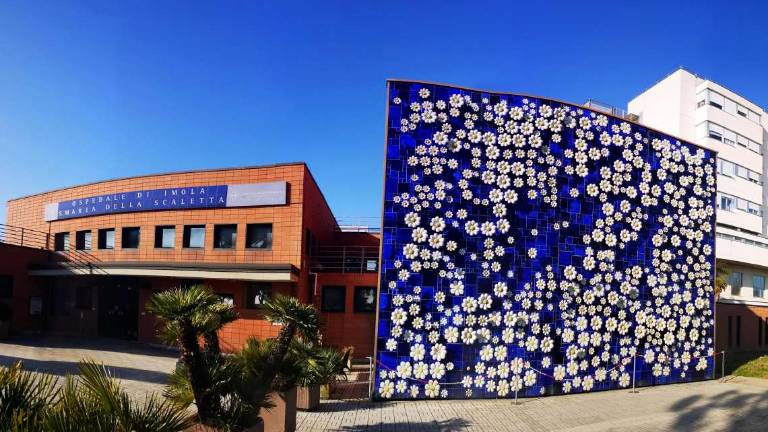 Imola, il nodo della sanità: Garanzie su ferie e organici Imola, il nodo della sanità: Garanzie su ferie e organici