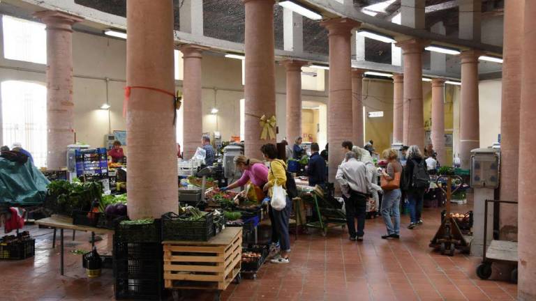 Forlì, il rilancio del Mercato delle erbe Forlì, il rilancio del Mercato delle erbe
