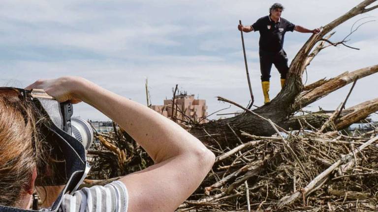 Rimini. Maltempo, spiaggia ripulita: ecco il lavoro dei bagnini Rimini. Maltempo, spiaggia ripulita: ecco il lavoro dei bagnini