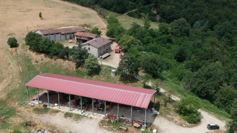 Forlì, omicidio Severi: al via il processo Forlì, omicidio Severi: al via il processo