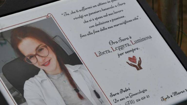 Forlì. Arte e poesia per ricordare Sara Pedri Forlì. Arte e poesia per ricordare Sara Pedri