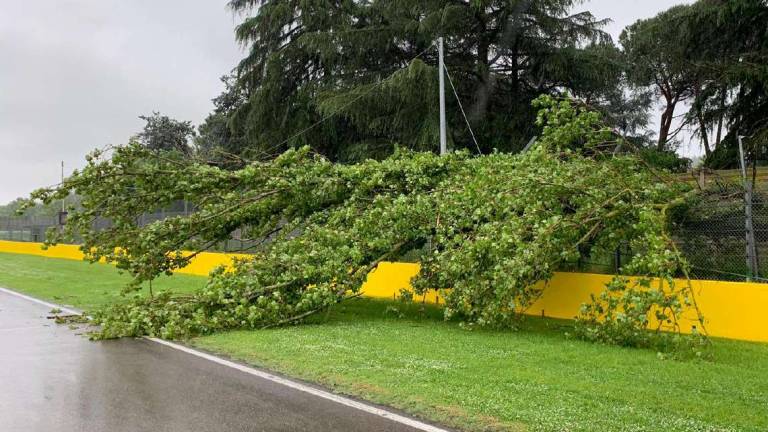 Imola, albero sul circuito: Situazione sotto controllo Imola, albero sul circuito: Situazione sotto controllo