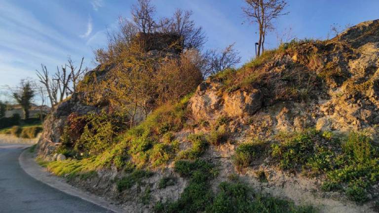 Montepetra, si sta sgretolando il sito archeologico dei Sassoni Montepetra, si sta sgretolando il sito archeologico dei Sassoni