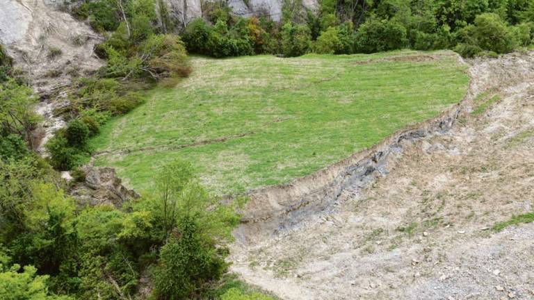 Forlì. L'allarme in agricoltura: persi fino al 60% di terreni Forlì. L'allarme in agricoltura: persi fino al 60% di terreni