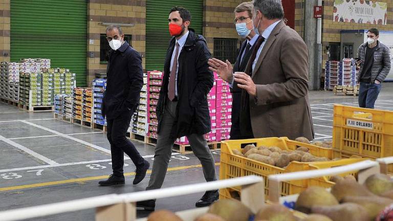 Cesena, mercato ortofrutticolo: miglioramenti milionari Cesena, mercato ortofrutticolo: miglioramenti milionari