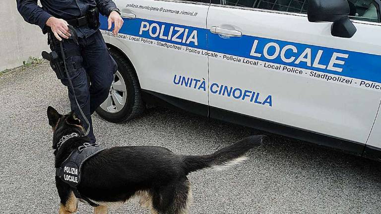 Rimini. Sgomberato ex hotel di Marina occupato abusivamente. Multe alle roulotte in sosta al Rds Stadium Rimini. Sgomberato ex hotel di Marina occupato abusivamente. Multe alle roulotte in sosta al Rds Stadium