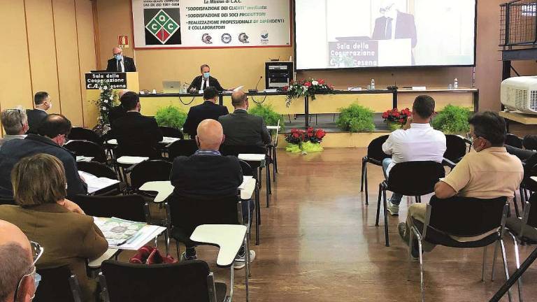 Cesena, bilancio 2020 coi fiocchi per Cac: utile cresciuto del 25% Cesena, bilancio 2020 coi fiocchi per Cac: utile cresciuto del 25%
