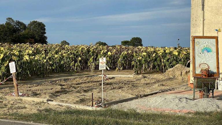 Cesena, abbattuta la celletta votiva con denuncia per minacce Cesena, abbattuta la celletta votiva con denuncia per minacce