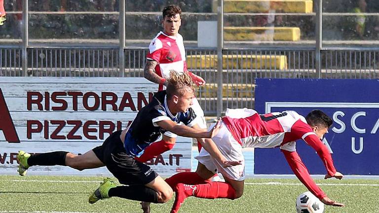 Calcio D, Andreis: Visto? Il Rimini sa lottare Calcio D, Andreis: Visto? Il Rimini sa lottare