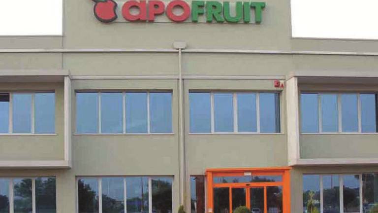 Cesena: bilancio Apofruit anti Covid Cesena: bilancio Apofruit anti Covid