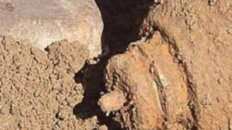Ravenna, bomba nel Candiano: eco il piano per disinnescarla Ravenna, bomba nel Candiano: eco il piano per disinnescarla