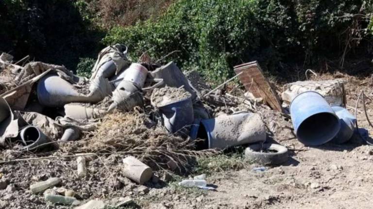 Faenza, smantellati orti abusivi sul Lamone: Alcune strutture erano praticamente delle abitazioni Faenza, smantellati orti abusivi sul Lamone: Alcune strutture erano praticamente delle abitazioni
