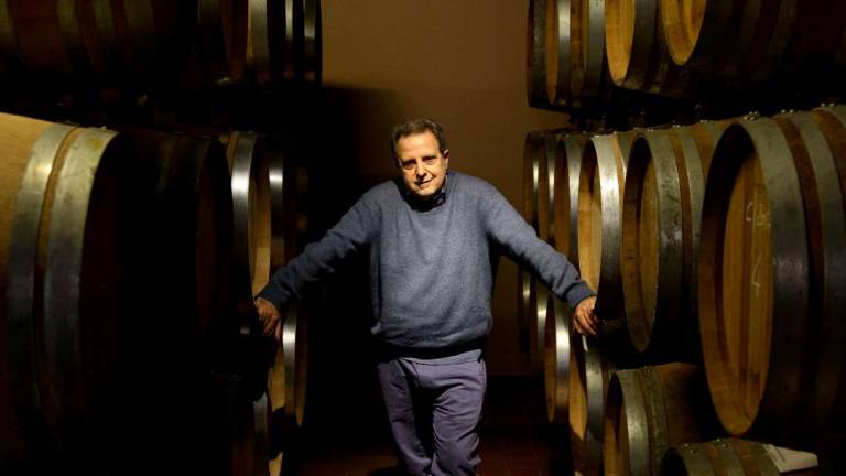 Imola, dal Gambero Rosso tre bicchieri al Codronchio della Fattoria Monticino Rosso Imola, dal Gambero Rosso tre bicchieri al Codronchio della Fattoria Monticino Rosso