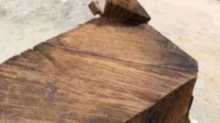 La croce di monte Beccugiano tagliata dai vandali con la motosega La croce di monte Beccugiano tagliata dai vandali con la motosega