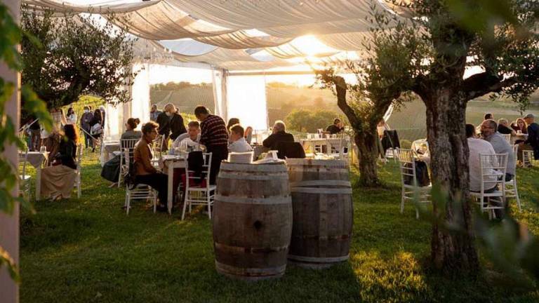 Cene estive “stellari” tra i filari della vigna Cene estive “stellari” tra i filari della vigna