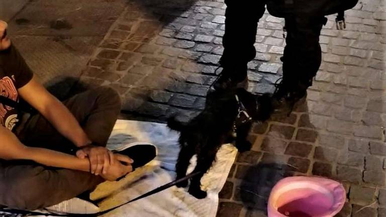 Rimini. Sfrutta il cane per chiedere l'elemosina, glielo confiscano Rimini. Sfrutta il cane per chiedere l'elemosina, glielo confiscano