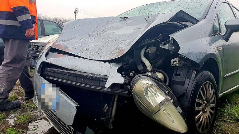 Poggio Torriana, travolta dall'auto: la 14enne resta in coma Poggio Torriana, travolta dall'auto: la 14enne resta in coma