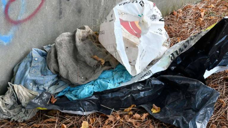 Forlì, degrado al Ronco Forlì, degrado al Ronco