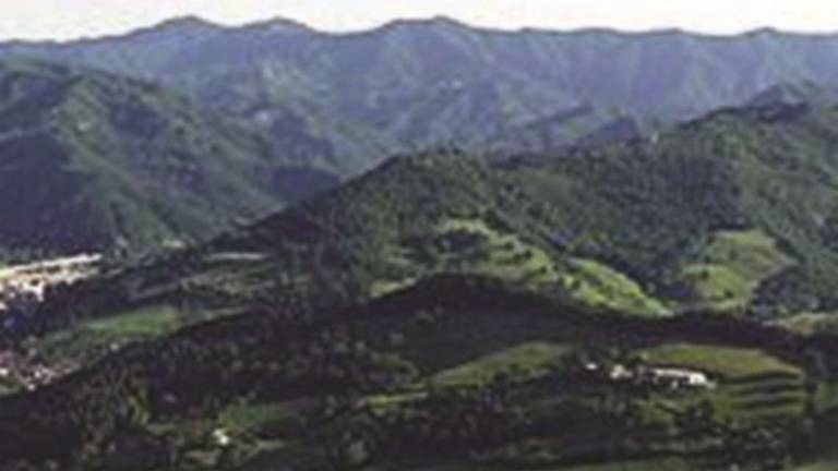 Sviluppo dell’eccellenza green, nuove aziende crescono Sviluppo dell’eccellenza green, nuove aziende crescono