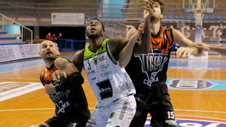 Basket B, Tigers-Rekico il 14 marzo? No, il Carisport è occupato Basket B, Tigers-Rekico il 14 marzo? No, il Carisport è occupato