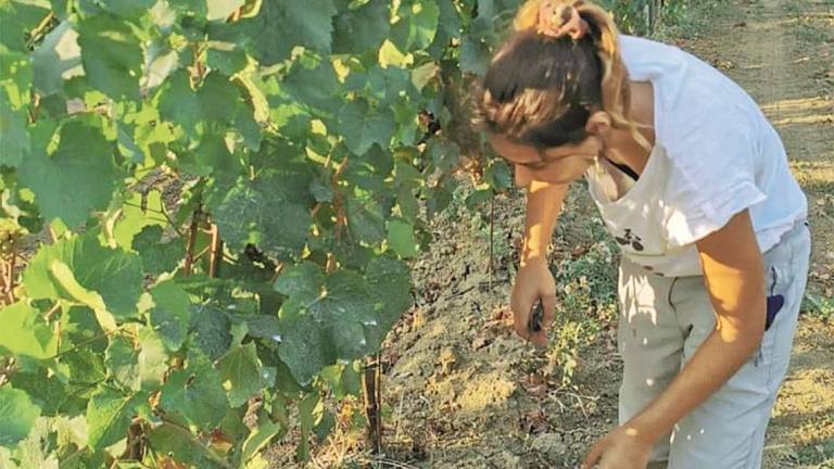 Rebola, i segreti del successo Rebola, i segreti del successo