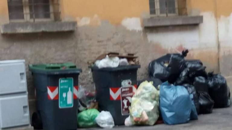Imola, dieci nuove fototrappole contro l'abbandono di rifiuti Imola, dieci nuove fototrappole contro l'abbandono di rifiuti