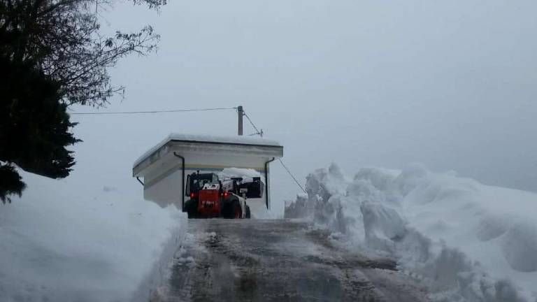 Maltempo in Romagna: si cerca ancora la donna dispersa a Montecopiolo Maltempo in Romagna: si cerca ancora la donna dispersa a Montecopiolo