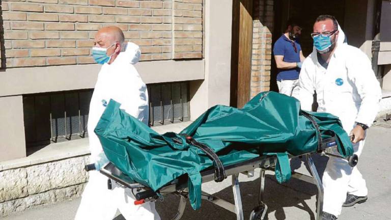 Femminicidio a Rimini, i familiari mobilitati per la ragazza ferita: Noelia, torna a casa Femminicidio a Rimini, i familiari mobilitati per la ragazza ferita: Noelia, torna a casa
