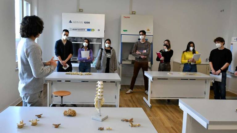 Forlì, il corso di laurea di Medicina tra successi e novità Forlì, il corso di laurea di Medicina tra successi e novità