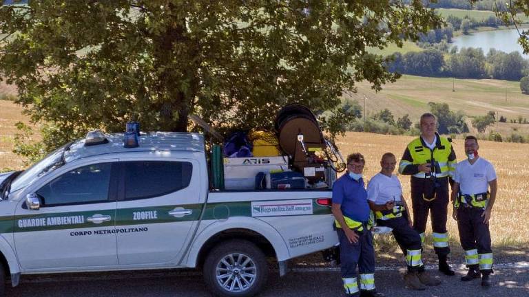 Task force per prevenire gli incendi estivi Task force per prevenire gli incendi estivi