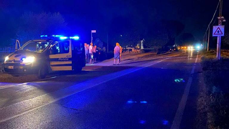 Cesena, si ferma al buio per soccorrere un gatto: investita è grave Cesena, si ferma al buio per soccorrere un gatto: investita è grave