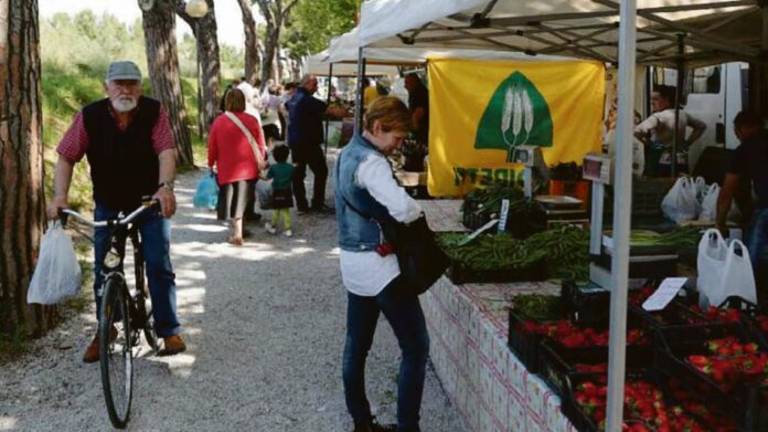 Cesena: il mercatino dei produttori agricoli si sposta temporaneamente dall'area del lungo fiume alla zona dello Stadio Cesena: il mercatino dei produttori agricoli si sposta temporaneamente dall'area del lungo fiume alla zona dello Stadio