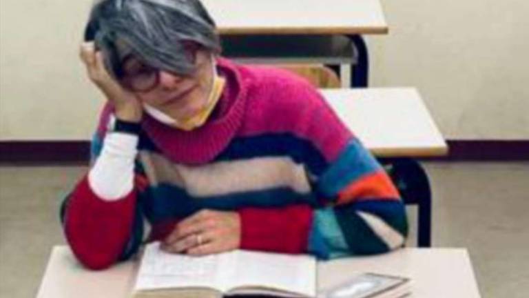 Faenza, la prof che non si arrende: Basta con la dad, smettiamola di fare danni ai ragazzi Faenza, la prof che non si arrende: Basta con la dad, smettiamola di fare danni ai ragazzi