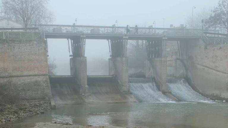 Siccità a Ravenna: Senza il Cer paura per la biodiversità Siccità a Ravenna: Senza il Cer paura per la biodiversità