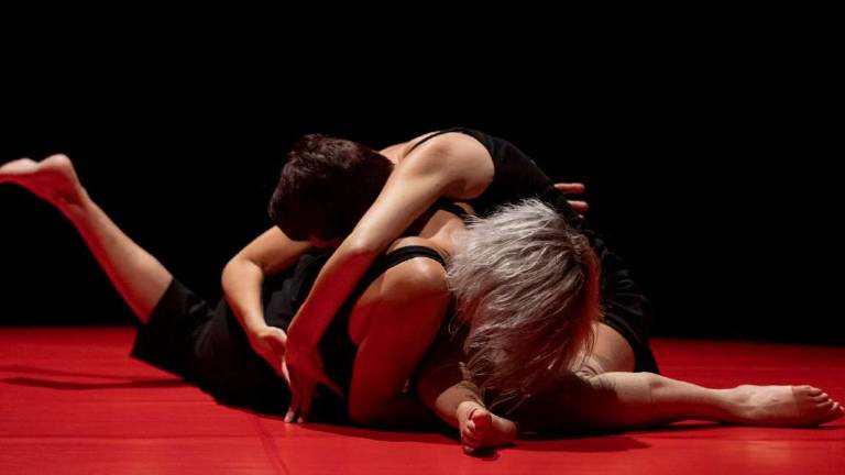 Crisalide Forlì festival alla 30ma edizione Crisalide Forlì festival alla 30ma edizione