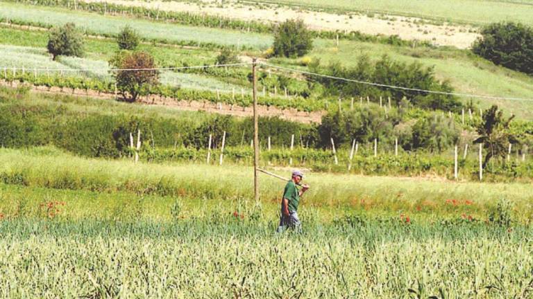 L'alimentare è responsabile di più di un terzo delle emissioni L'alimentare è responsabile di più di un terzo delle emissioni